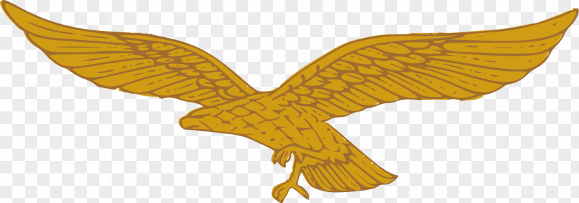 Golden Eagle German Air Force Clip Art PNG