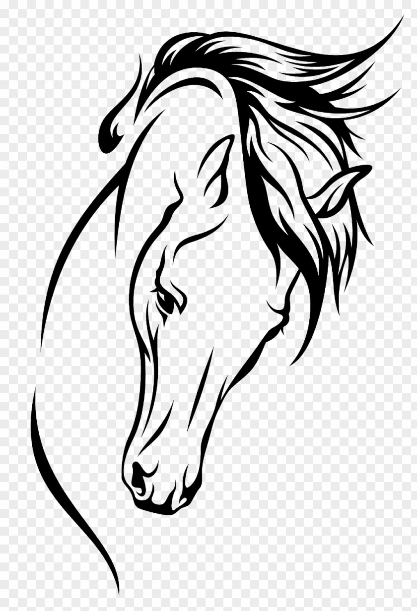 Horsehead Arabian Horse Drawing Silhouette Clip Art PNG