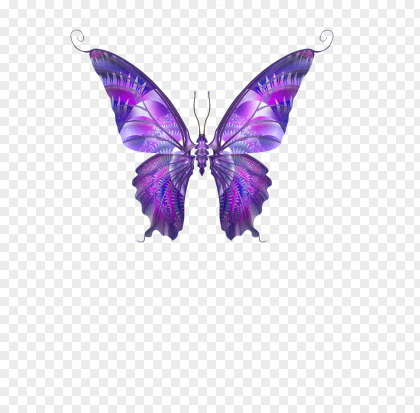 Purple Butterfly Papillon Dog Hemiargus Ceraunus Clip Art PNG