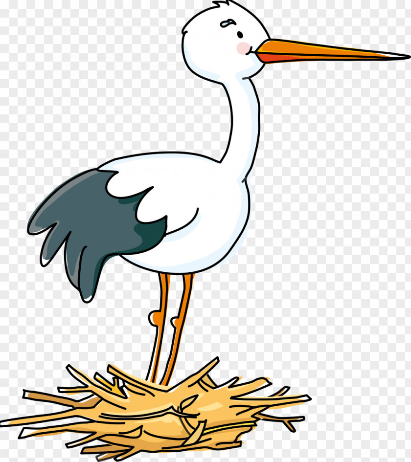 Stork Bird Drawing Child Nest PNG