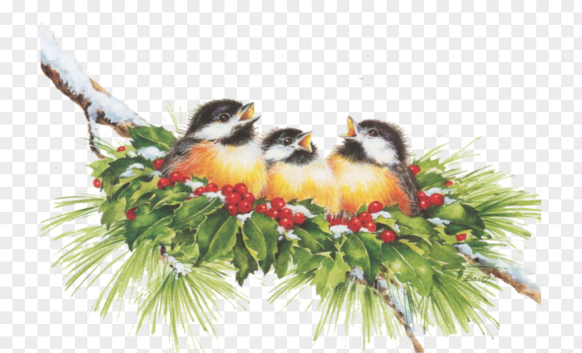 Christmas Ornament Beak Branching PNG