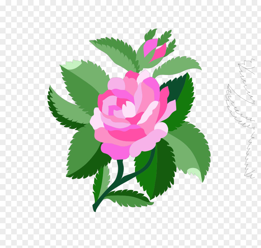 Damask Rose Clip Art Openclipart Vector Graphics Image PNG