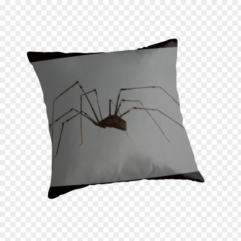 Itsy Bitsy Spider Throw Pillows Cushion Rectangle PNG