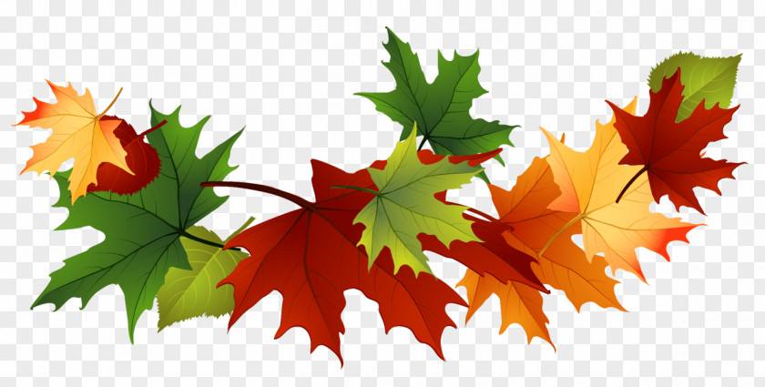 Maple Leaf Garland PNG Garland, multicolored leaves illustration clipart PNG