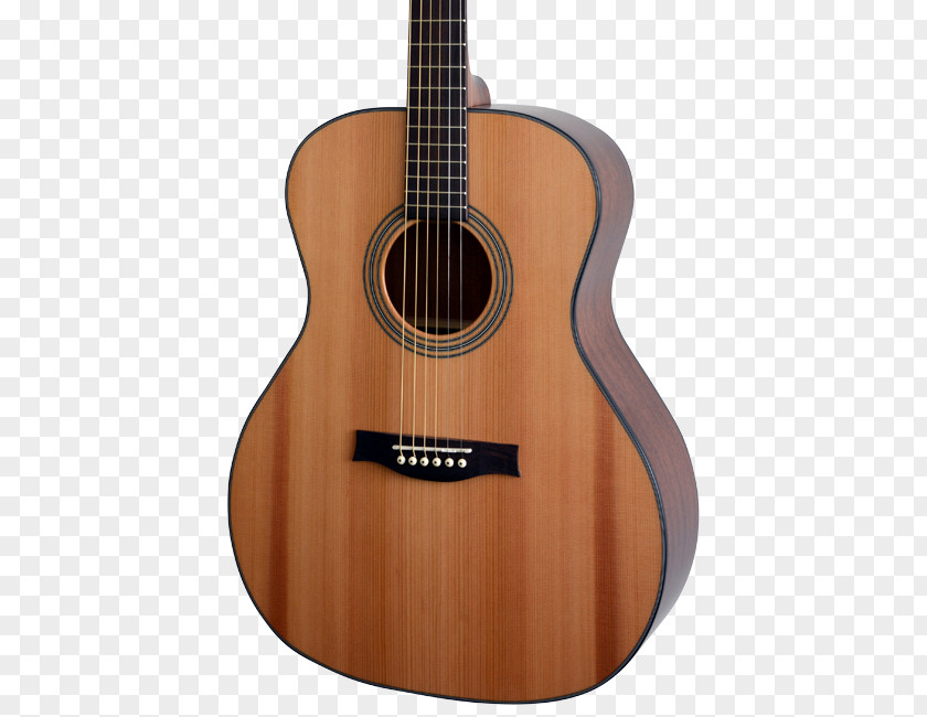 Radio Studio Acoustic Guitar Acoustic-electric Tiple Bass Cuatro PNG