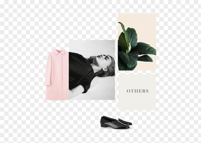 Women's Clothing Page Layout Mood Board Designer Graphic Design PNG