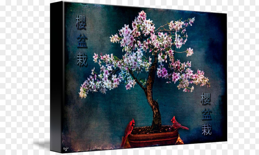 Cherry Blossom Still Life Art Bonsai PNG