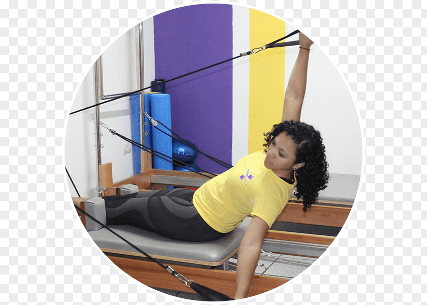 Ederson VOLL Pilates Group Espaço Vida Franca Business PNG