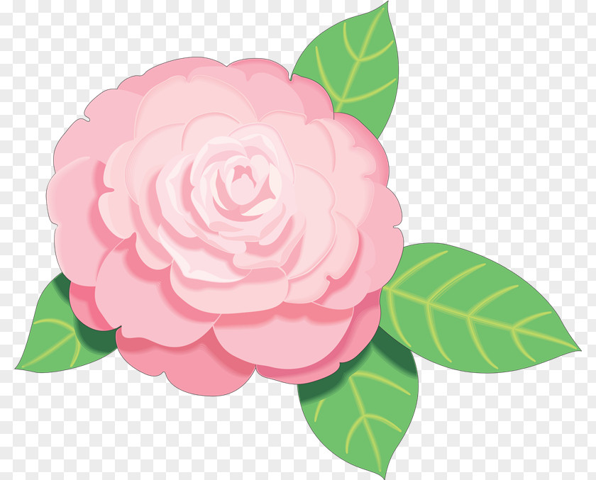 Free Pink Flowers Rose Clip Art PNG