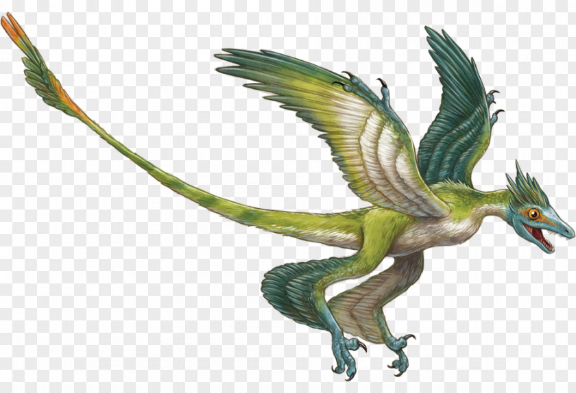 Gliding Microraptor Velociraptor Triceratops Rahonavis Deinonychus PNG