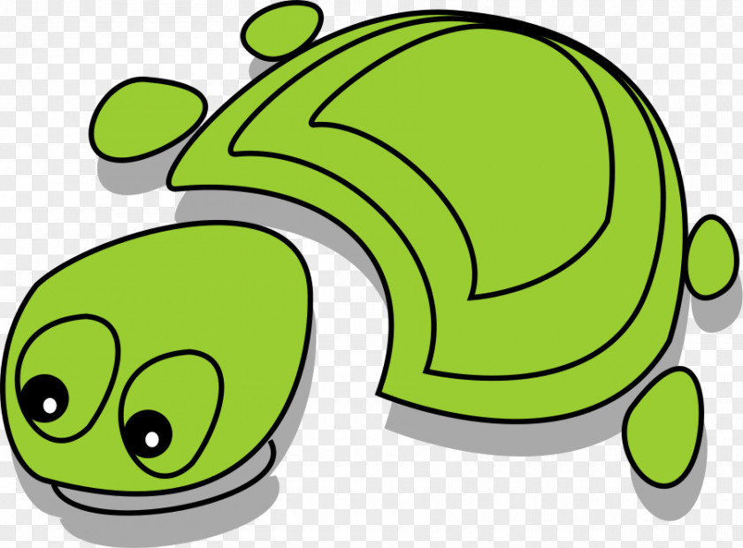 Grasshopper Cartoon Images Turtle Tortoise Clip Art PNG