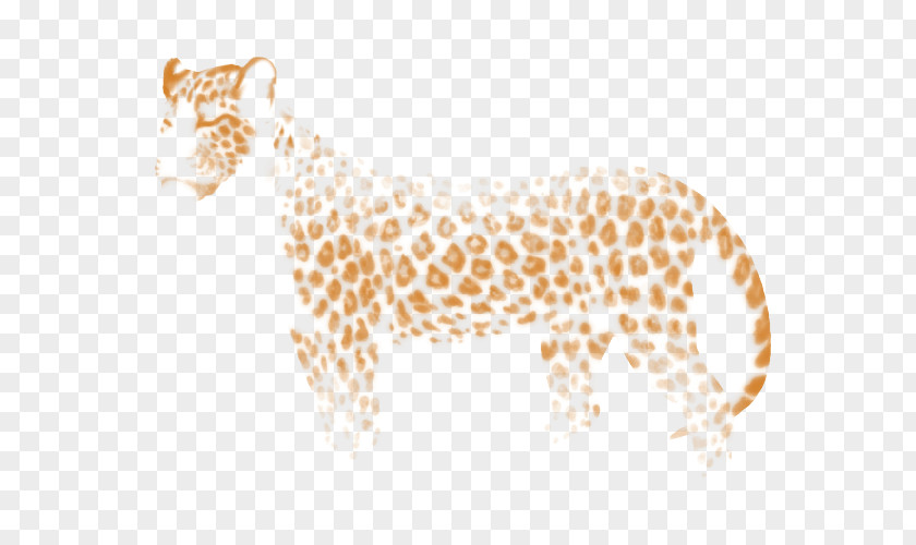 Leopard Lion Felidae Giraffe PNG