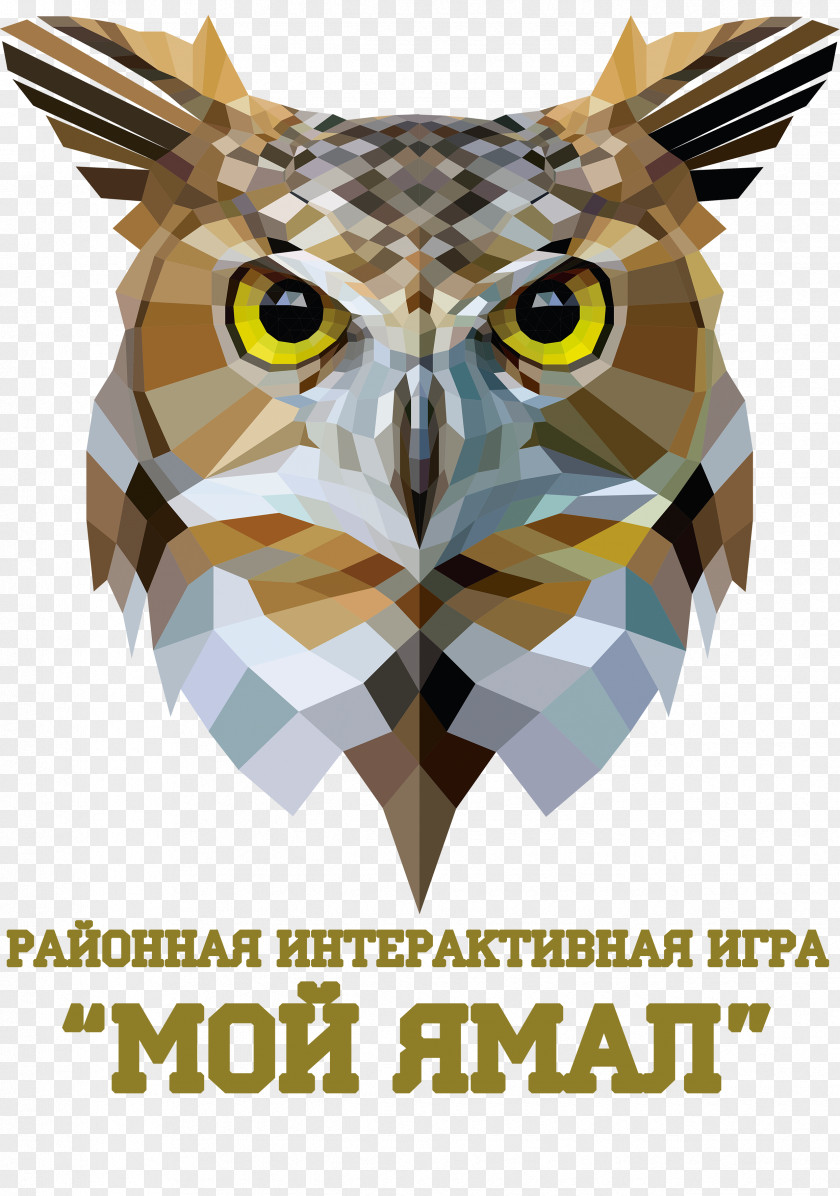 Owl Vector Graphics Royalty-free Image Illustration PNG