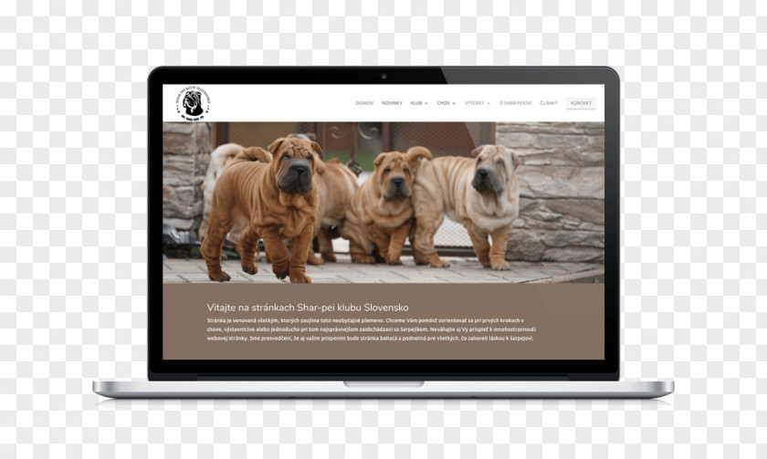 Shar Pei Dog Breed Multimedia Video Snout PNG