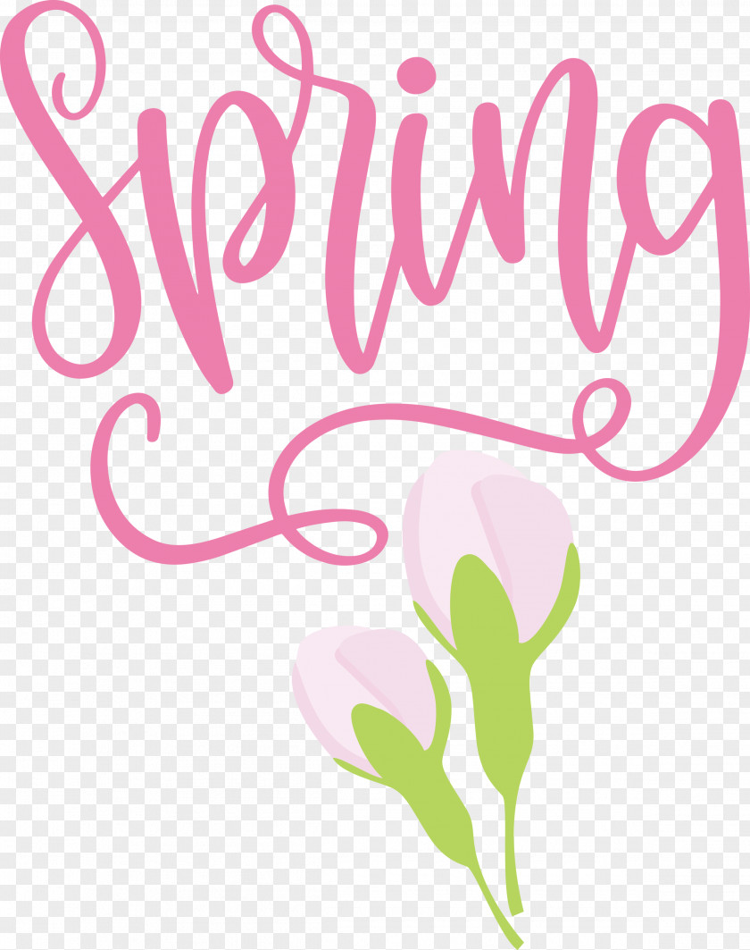 Spring PNG