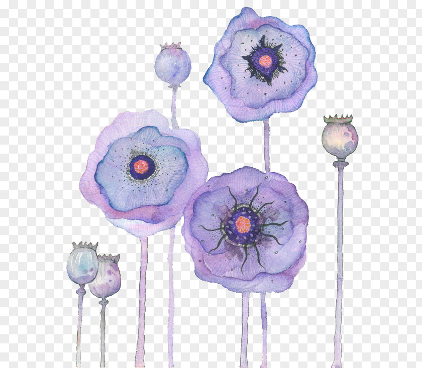 Watercolor Flowers Floral Design Painting Petal Flower PNG