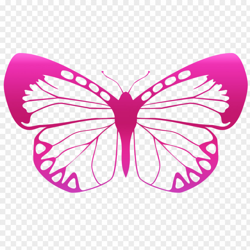 Butterfly Sticker Wall Decal Polyvinyl Chloride PNG