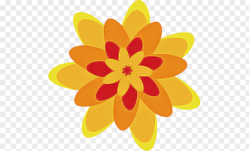 Floral Design PNG