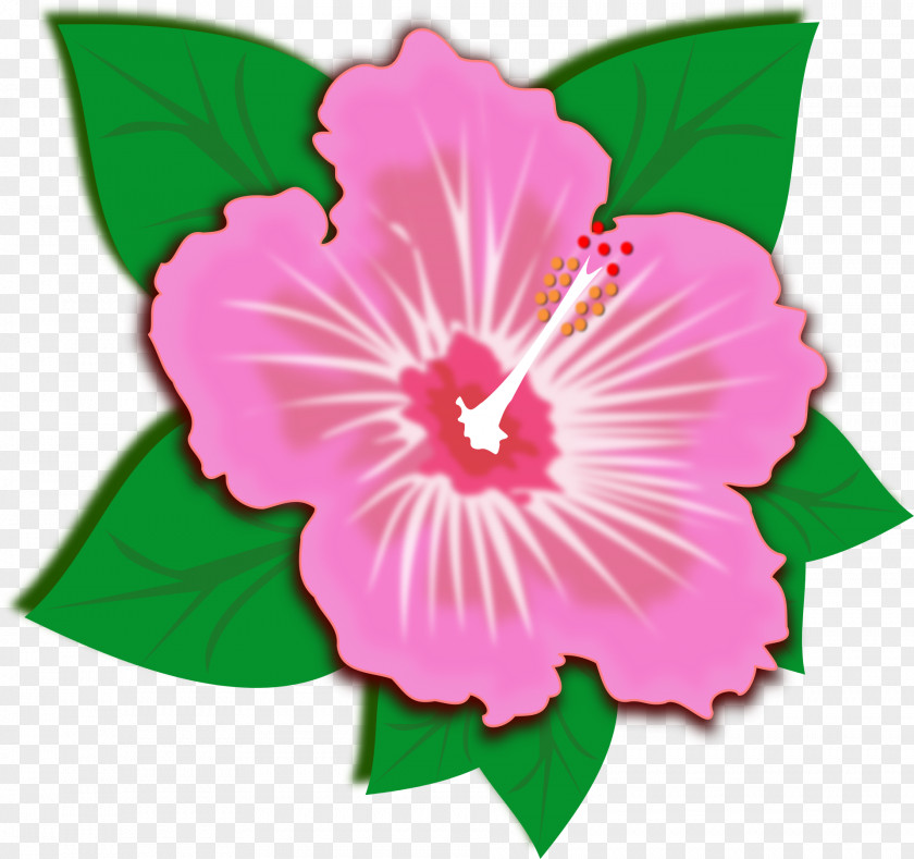 Flower Public Domain Clip Art PNG