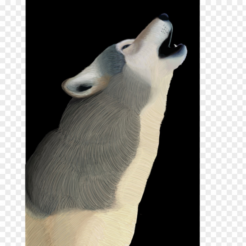 GREY Wolf Beak Fauna Snout Neck Fur PNG