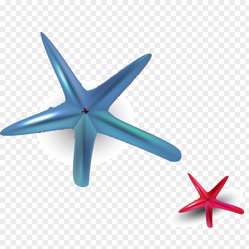 Hand Painted Colored Starfish Vector Material Euclidean PNG