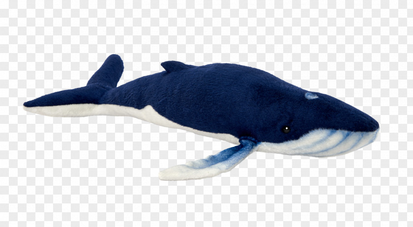 Porpoise Cobalt Blue Cetacea Dolphin PNG
