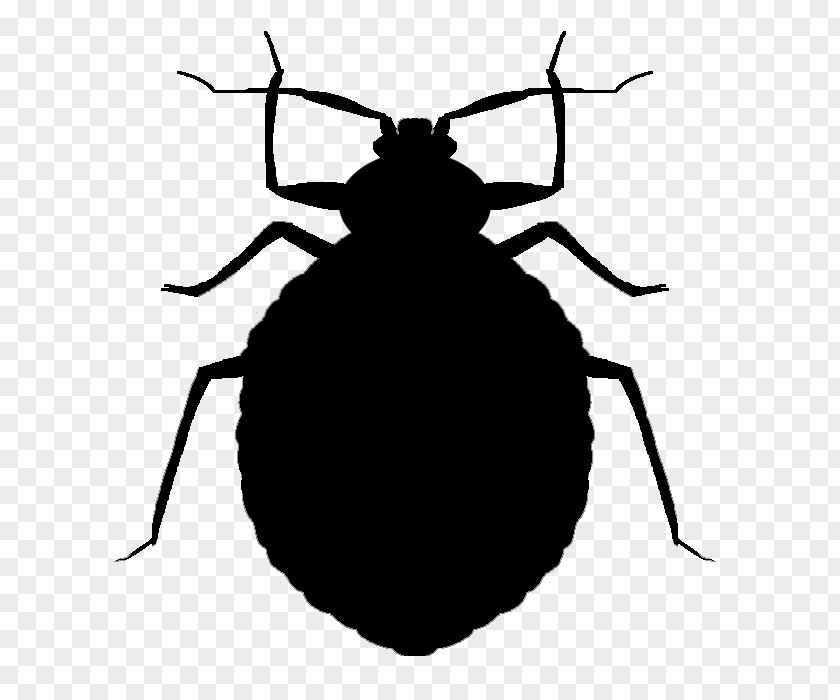 Bugs Mosquito Insect Bed Bug Bite Pest Control PNG