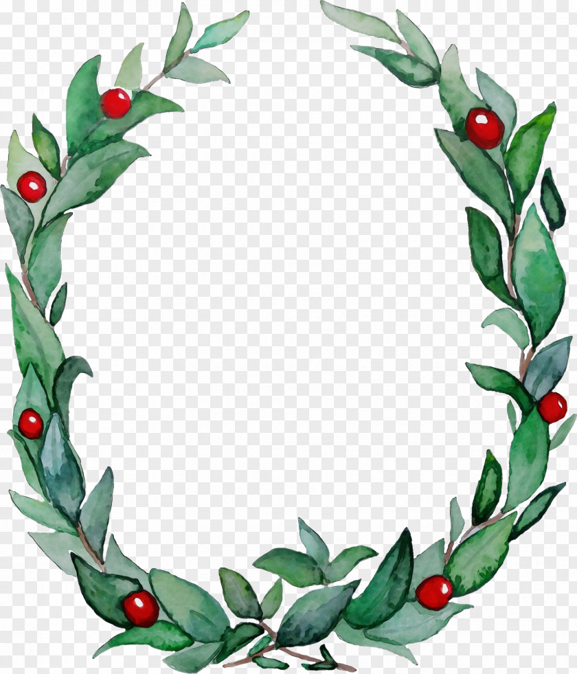 Holly PNG