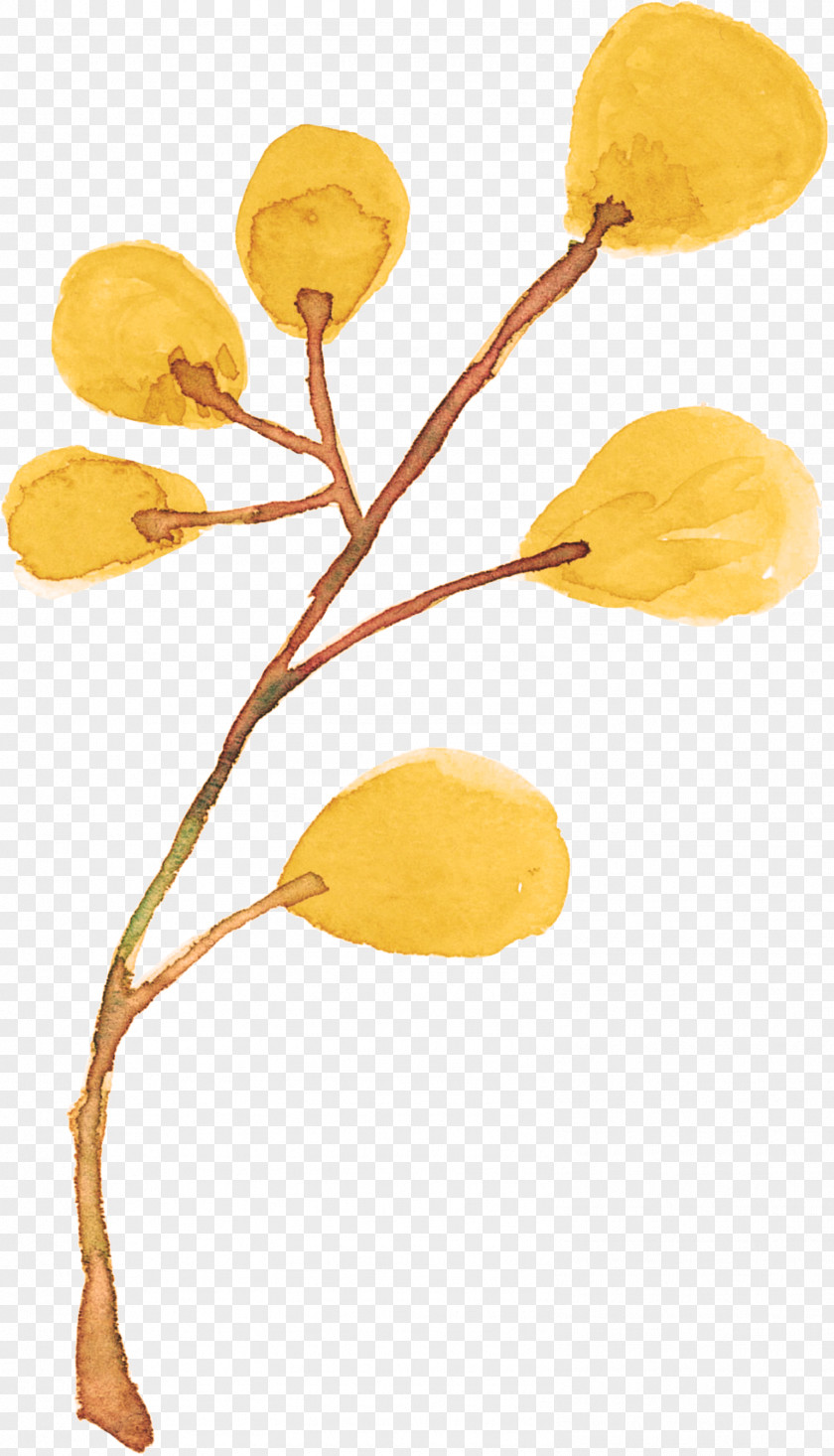 Painted Plants Painting Plant Drawing PNG