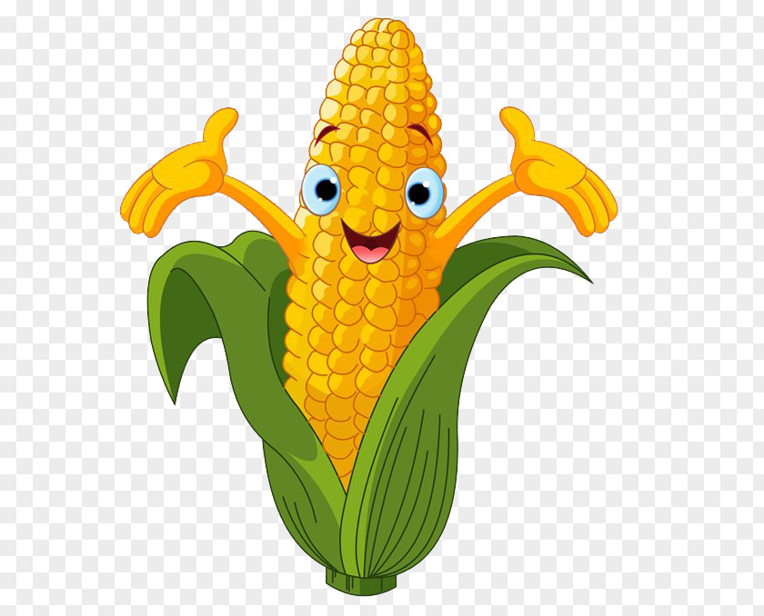 Popcorn Corn On The Cob Maize Sweet Cartoon PNG