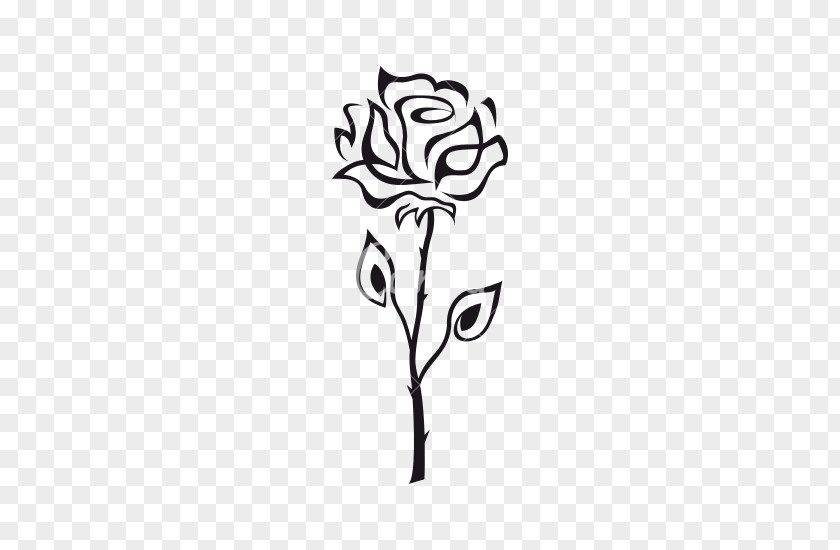 Rose Clip Art Image Vector Graphics PNG
