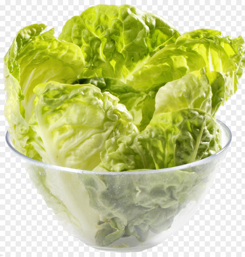 Salade Romaine Lettuce Vegetarian Cuisine PNG