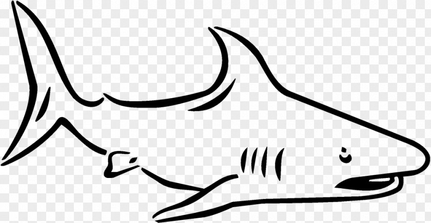 Shark Tiger Clip Art Coloring Book Drawing PNG