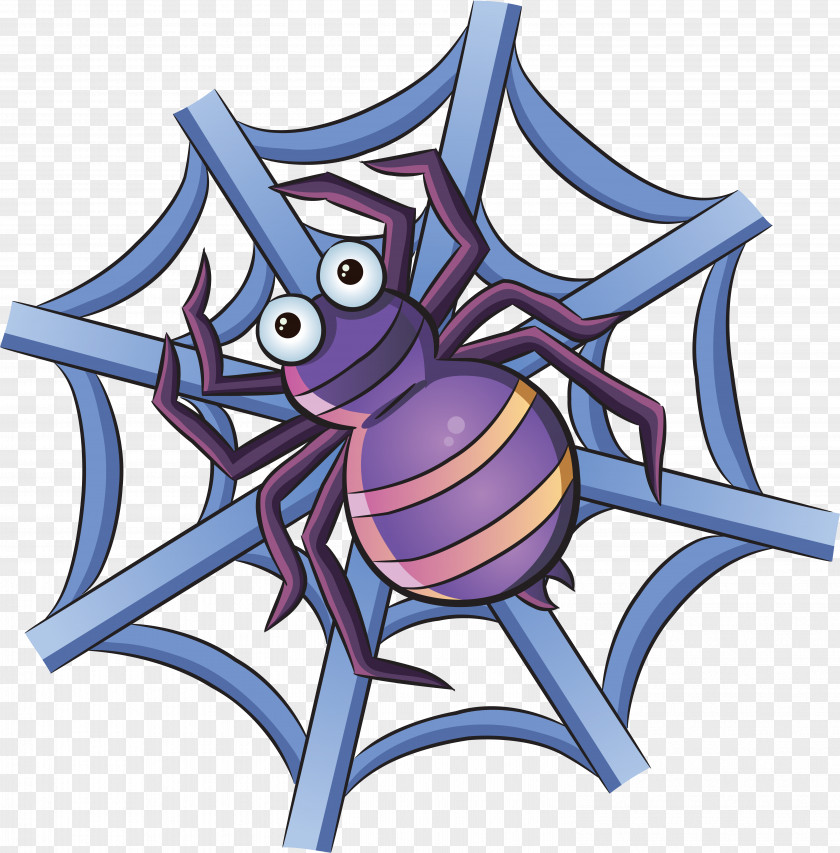 Spider Web Insect Cuteness PNG