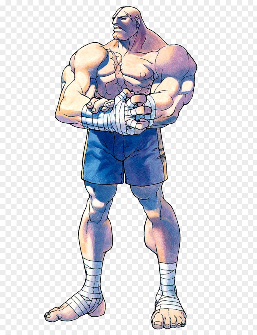 Street Fighter Alpha 2 Sagat Ryu PNG