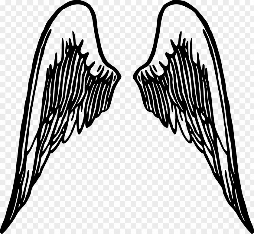 Angel Wings Download Clip Art Transparency Openclipart Free Content PNG