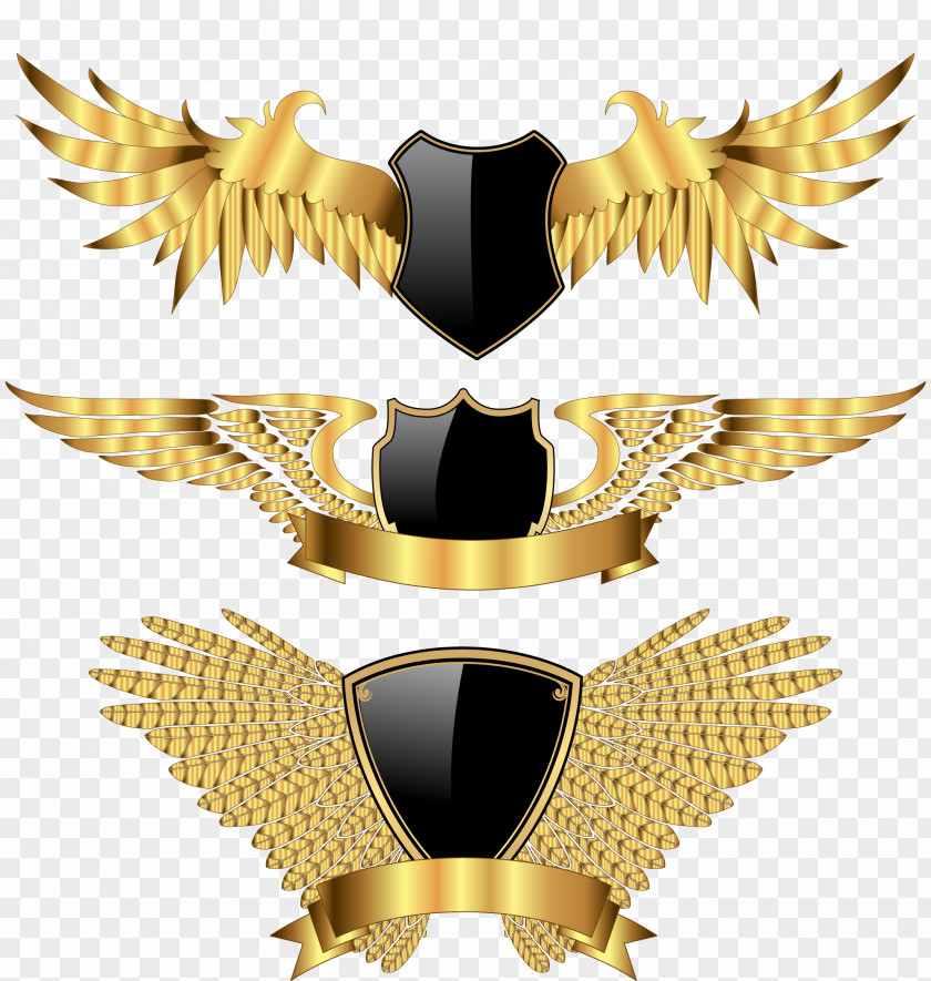 Golden Wings Wing PNG