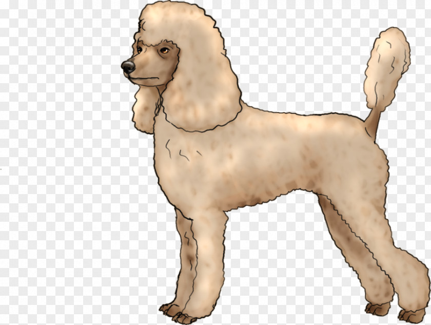 Puppy American Cocker Spaniel Dog Breed Companion Non-sporting Group PNG