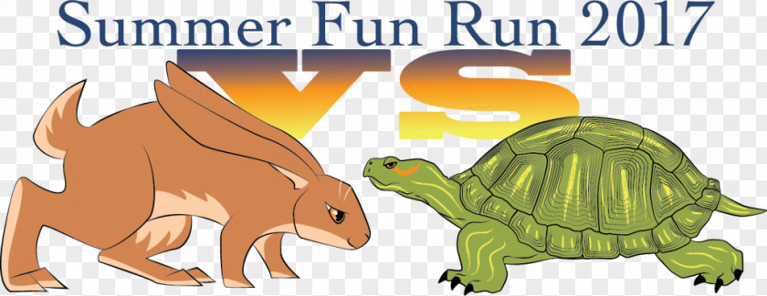 Turtle Running Tortoise Hendricks County Parks & Recreation YMCA Wildlife PNG