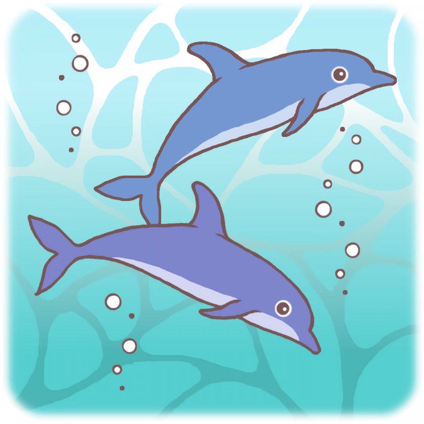 Cartoon Dolphin Bottlenose Biology Science PNG