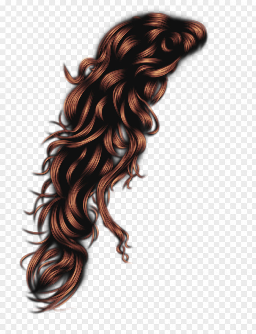 Hairdressing Hairstyle Afro-textured Hair Long PNG