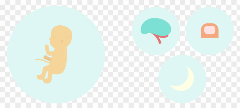 Prenatal Development Logo Brand Desktop Wallpaper Font PNG