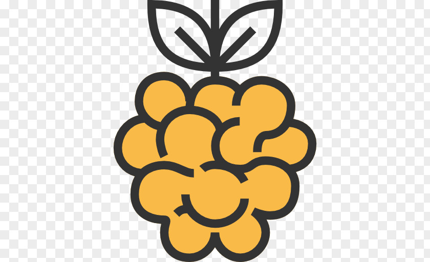 Raspberry PNG