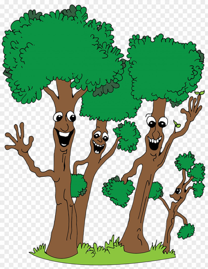 Tree Redfern Service Woody Plant Clip Art PNG