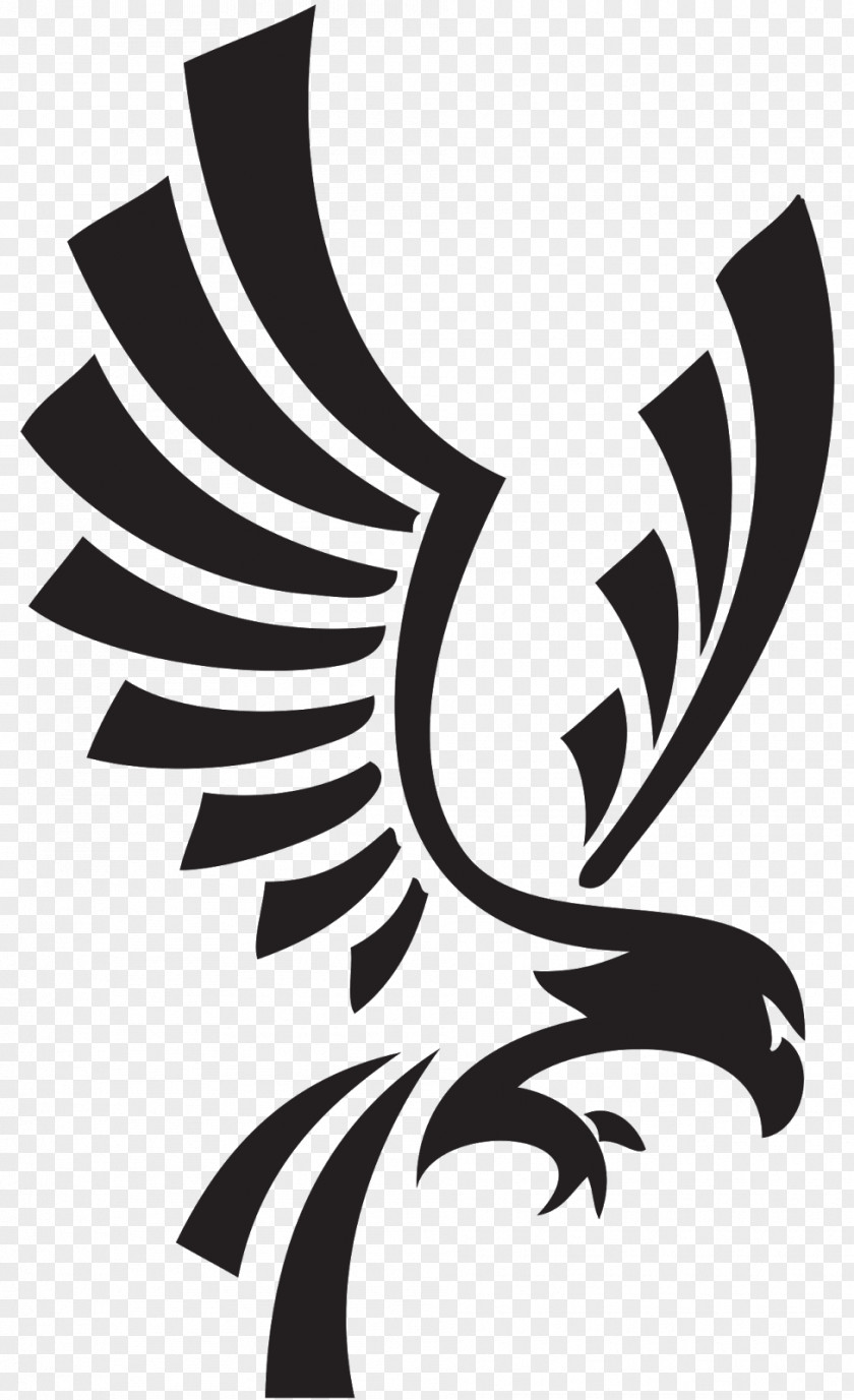 Eagle Symbol Bird Buzzard PNG
