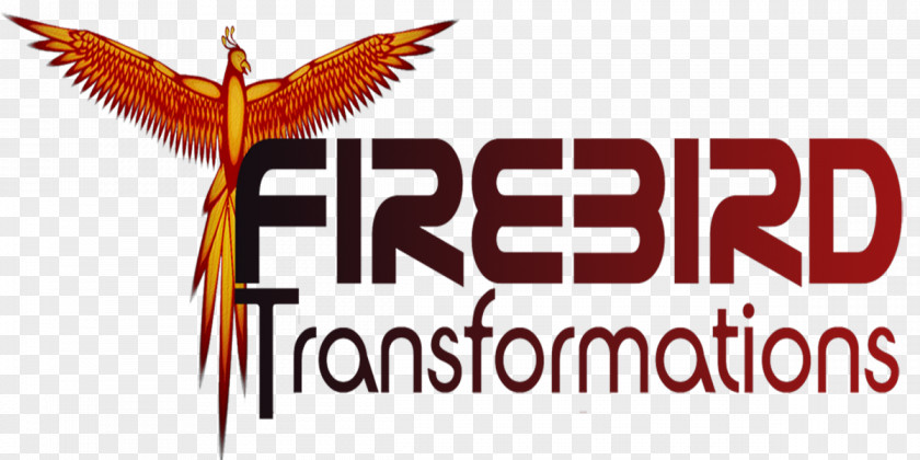 FIREBIRD Logo Brand CNN Font PNG