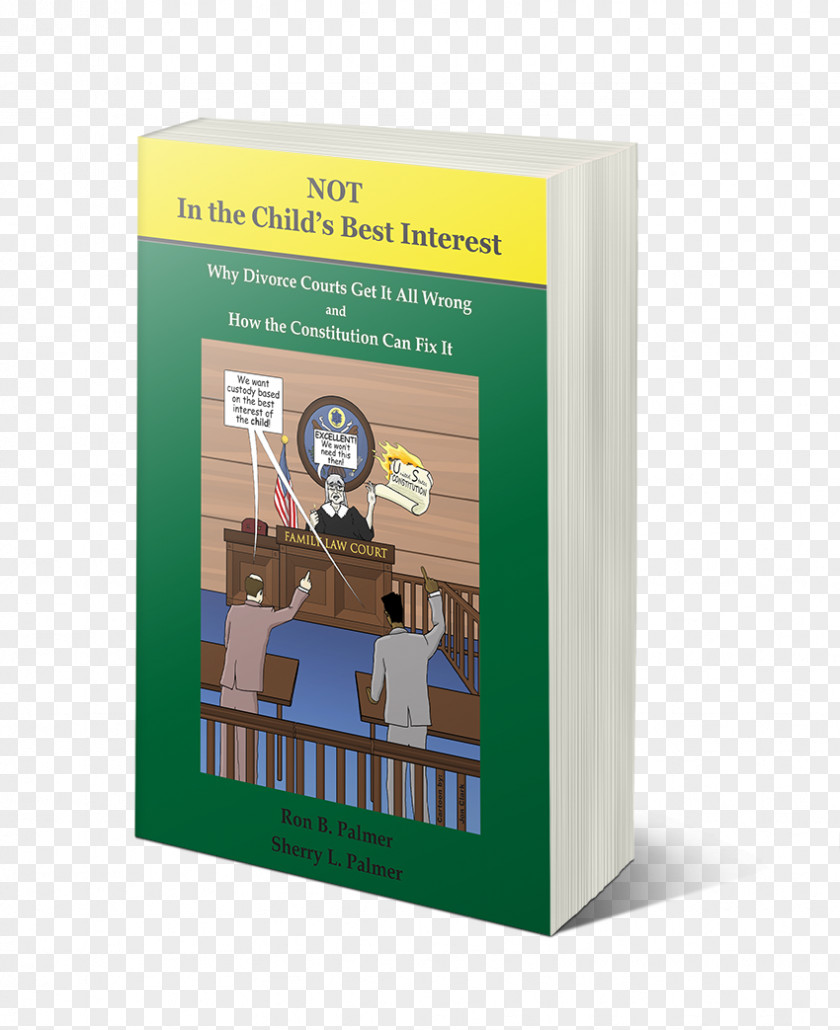 Lawyer Not In The Child's Best Interest: How Divorce Courts Get It All Wrong And Constitution Can Fix Child Custody Interests Family Court PNG