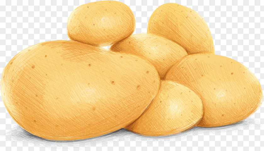 Vector Potatoes Potato Vegetable Illustration PNG