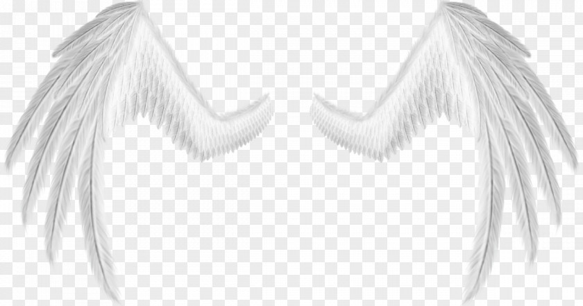 White Line Art Neck Angel M Font PNG