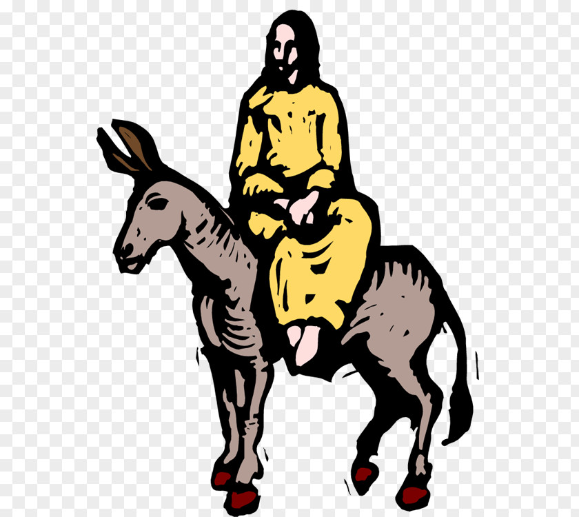 Donkey Mule Bethlehem Palm Sunday Clip Art PNG